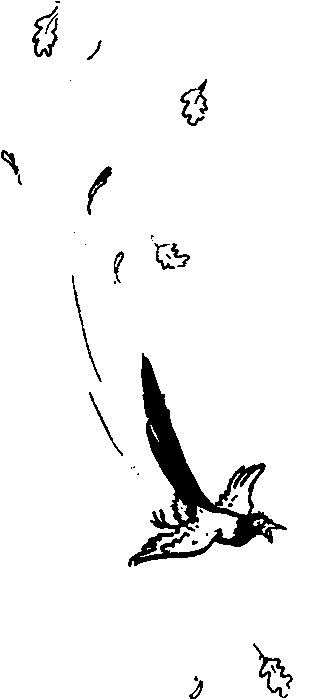 Рыцари Серебряного Щита - i_001.png