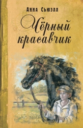 Черный Красавчик (с иллюстрациями) - автор Сьюэлл Анна 