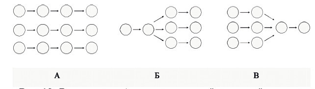 Центральная нервная система. Анатомия и физиология - i_018.jpg