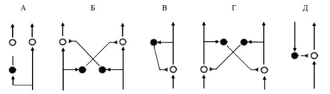 Центральная нервная система. Анатомия и физиология - i_019.jpg