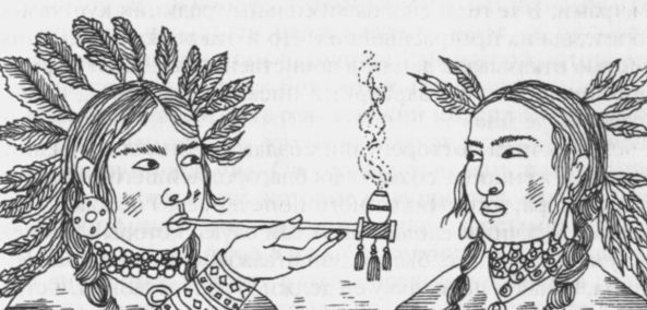 Женщины-воины: от амазонок до куноити - i_011.jpg