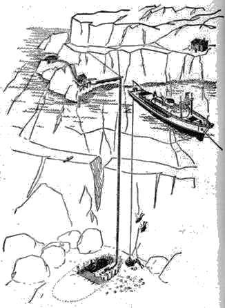 Живое море - i_002.png