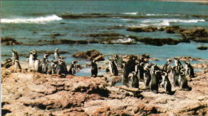 Жизнь на краю земли - i_005.jpg