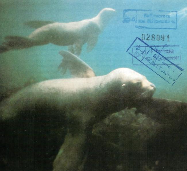 Жизнь на краю земли - i_008.jpg