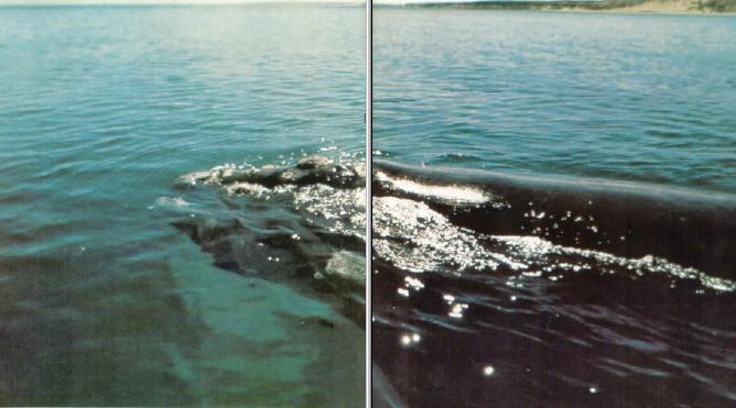 Жизнь на краю земли - i_015.jpg