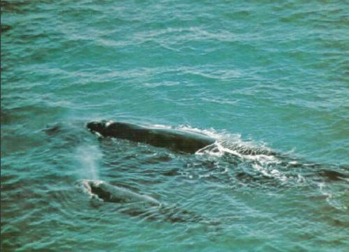 Жизнь на краю земли - i_018.jpg