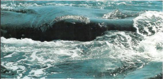 Жизнь на краю земли - i_035.jpg