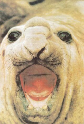 Жизнь на краю земли - i_040.jpg