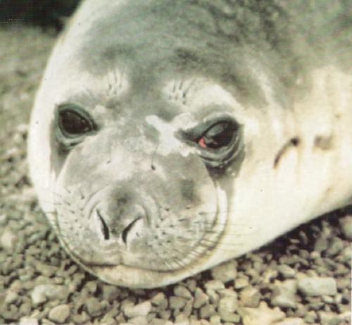 Жизнь на краю земли - i_047.jpg