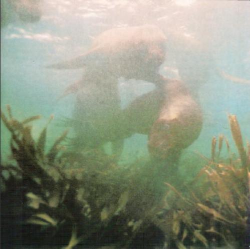 Жизнь на краю земли - i_053.jpg