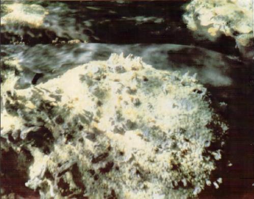 Жизнь на краю земли - i_059.jpg