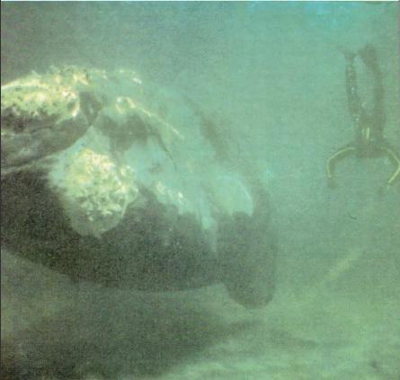 Жизнь на краю земли - i_069.jpg