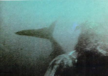 Жизнь на краю земли - i_071.jpg