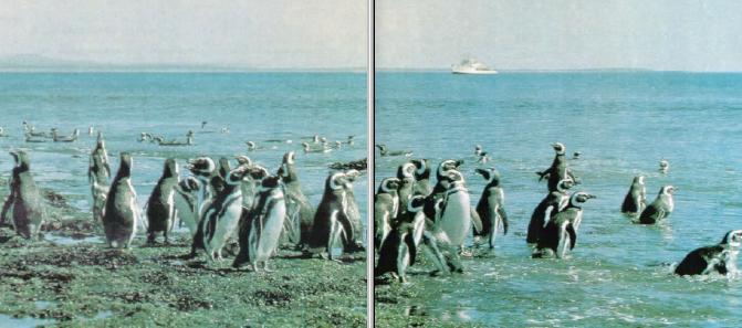 Жизнь на краю земли - i_075.jpg