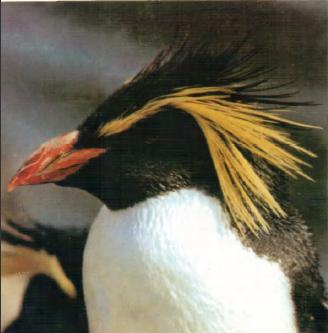 Жизнь на краю земли - i_081.jpg