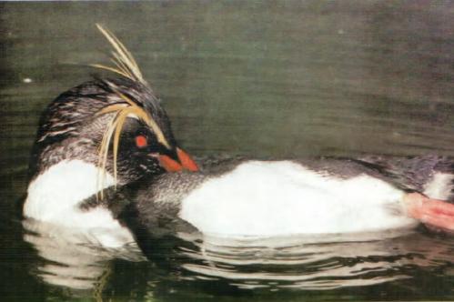 Жизнь на краю земли - i_083.jpg