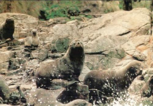 Жизнь на краю земли - i_084.jpg