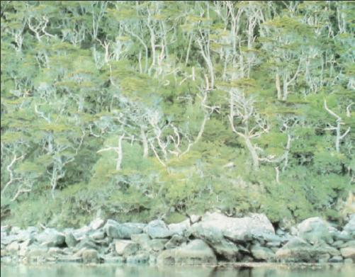 Жизнь на краю земли - i_093.jpg