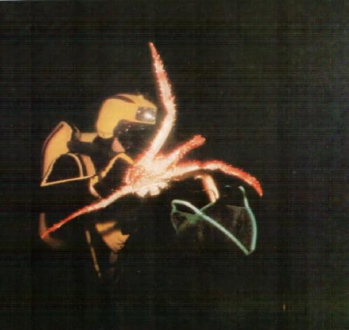 Жизнь на краю земли - i_098.jpg