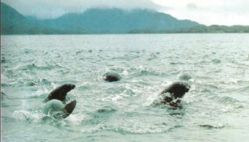 Жизнь на краю земли - i_122.jpg