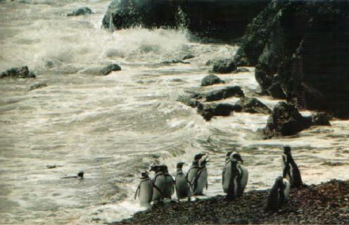 Жизнь на краю земли - i_141.jpg