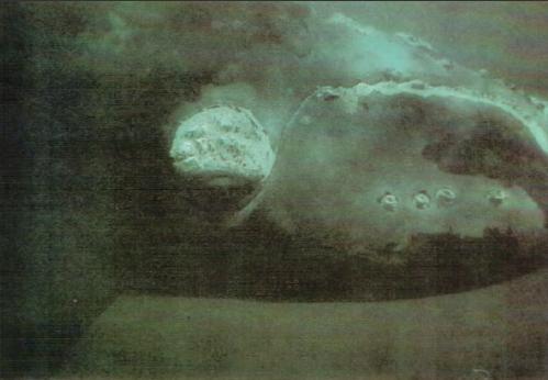 Жизнь на краю земли - i_144.jpg