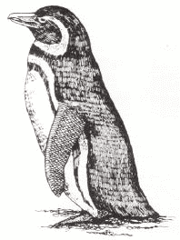 Жизнь на краю земли - i_156.png