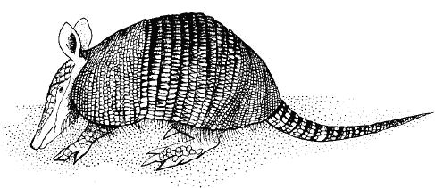 Жизнь на краю земли - i_158.png