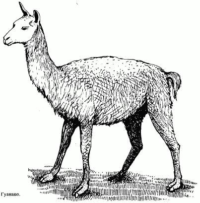 Жизнь на краю земли - i_159.png