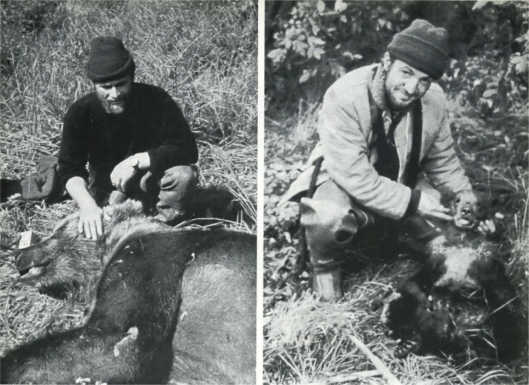 Лососи, бобры, каланы - i_021.jpg