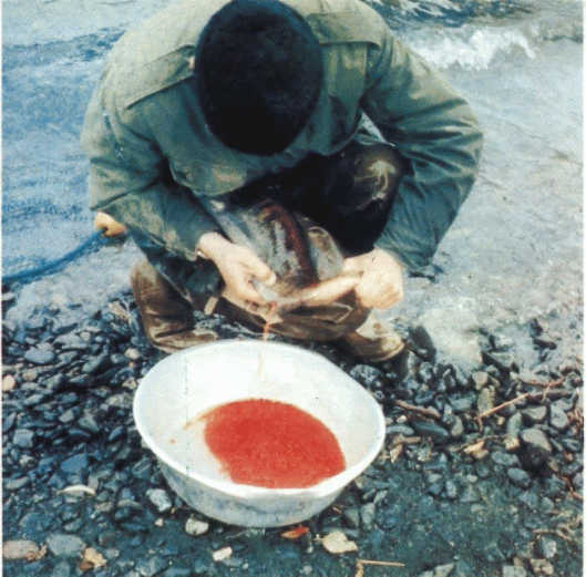 Лососи, бобры, каланы - i_035.jpg