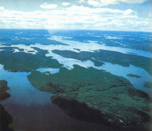 Лососи, бобры, каланы - i_039.jpg