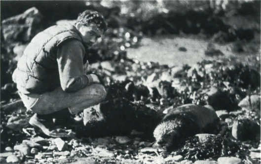 Лососи, бобры, каланы - i_096.jpg