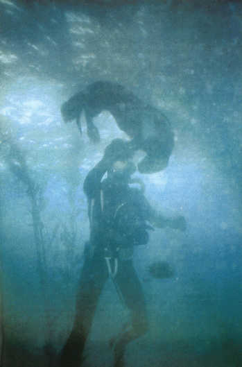 Лососи, бобры, каланы - i_110.jpg