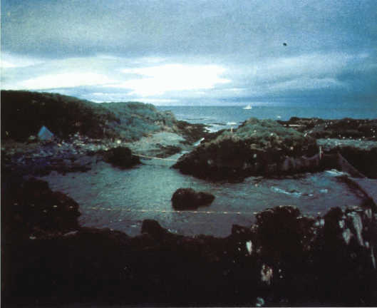 Лососи, бобры, каланы - i_119.jpg