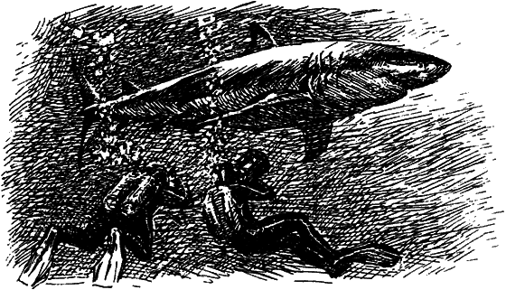 Могучий властелин морей. Чтобы не было в море тайн - i_008.png