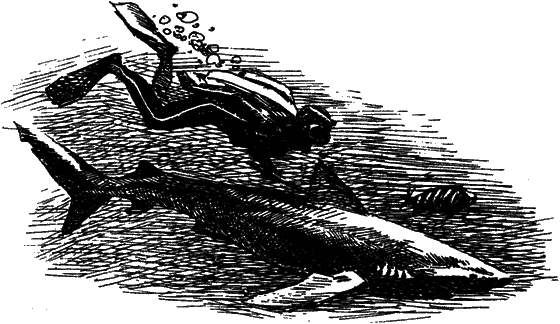 Могучий властелин морей. Чтобы не было в море тайн - i_019.png