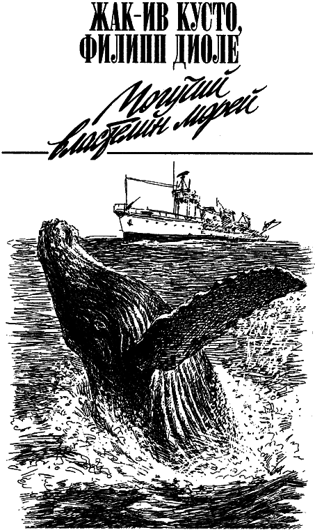 Могучий властелин морей. Чтобы не было в море тайн - i_041.png