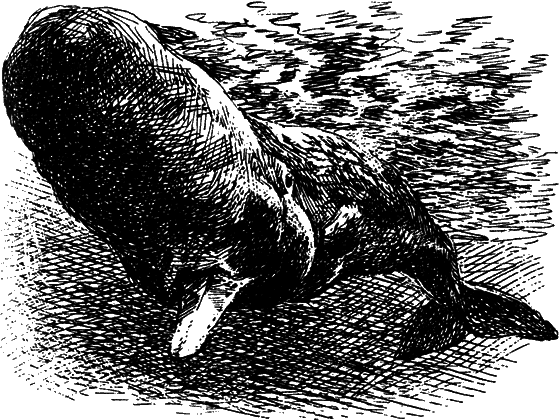 Могучий властелин морей. Чтобы не было в море тайн - i_043.png