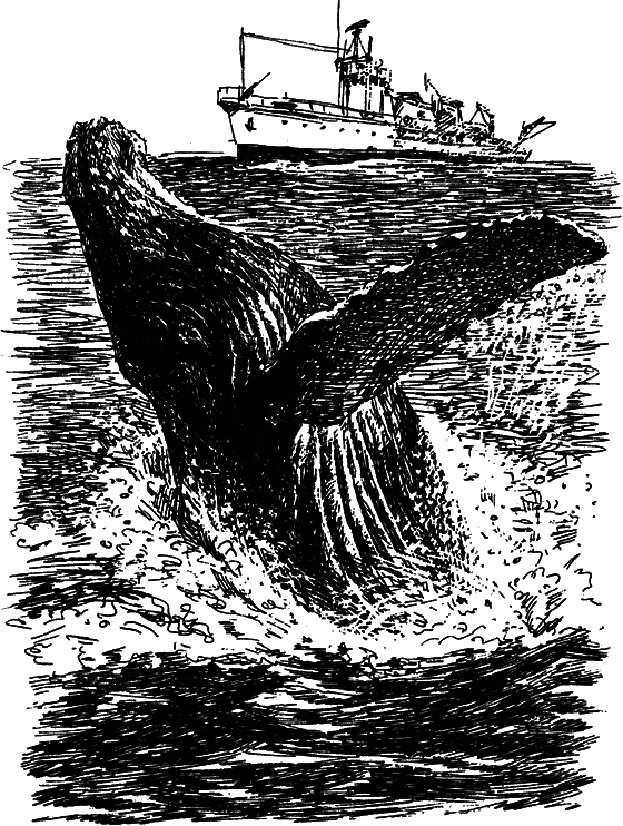 Могучий властелин морей. Чтобы не было в море тайн - i_050.png