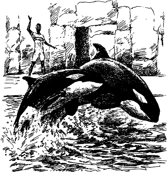 Могучий властелин морей. Чтобы не было в море тайн - i_067.png