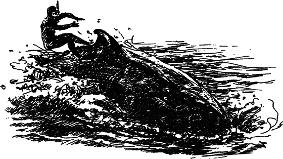 Могучий властелин морей. Чтобы не было в море тайн - i_069.png