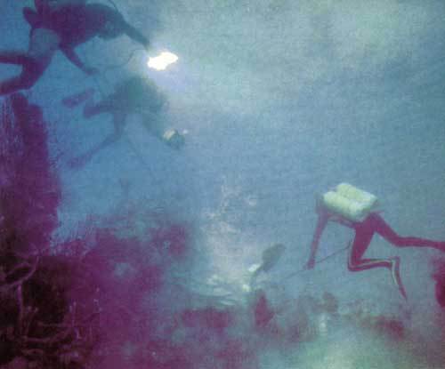 Сюрпризы моря - i_014.jpg