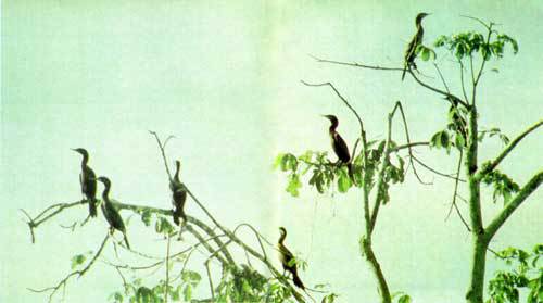 Сюрпризы моря - i_067.jpg