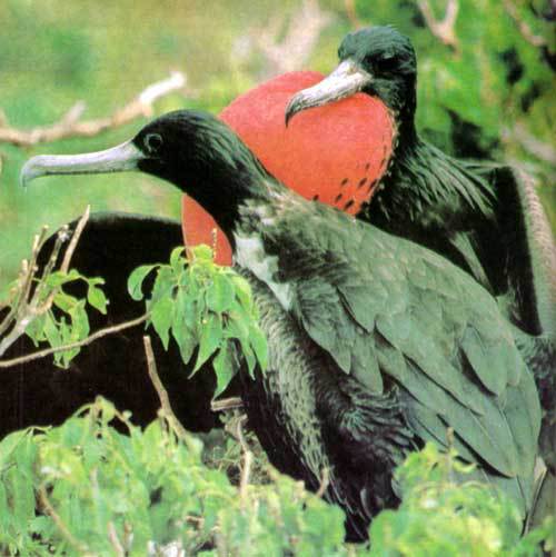 Сюрпризы моря - i_114.jpg