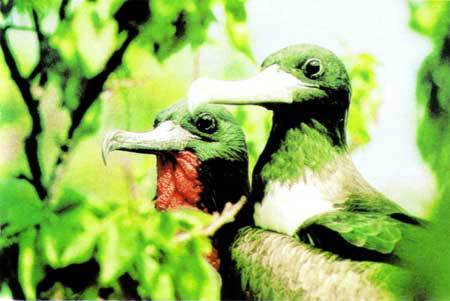 Сюрпризы моря - i_123.jpg