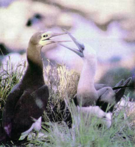 Сюрпризы моря - i_124.jpg