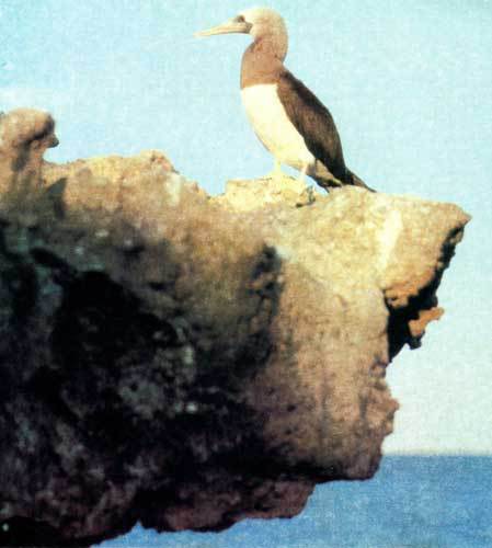 Сюрпризы моря - i_131.jpg