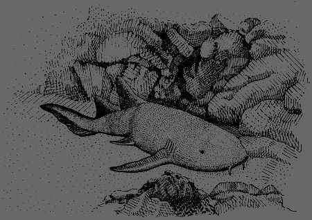 Сюрпризы моря - i_146.png