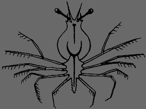 Сюрпризы моря - i_156.png